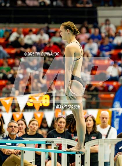 Thumbnail 1 in UIL 6A Swimming & Diving Finals (Diving) photogallery.