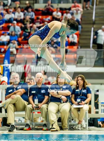 Thumbnail 1 in UIL 6A Swimming & Diving Finals (Diving) photogallery.