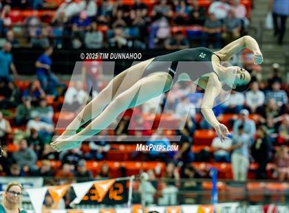 Thumbnail 3 in UIL 6A Swimming & Diving Finals (Diving) photogallery.