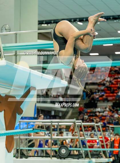 Thumbnail 3 in UIL 6A Swimming & Diving Finals (Diving) photogallery.
