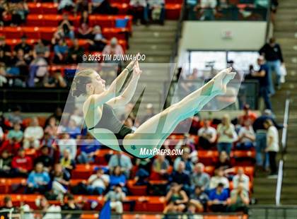 Thumbnail 3 in UIL 6A Swimming & Diving Finals (Diving) photogallery.