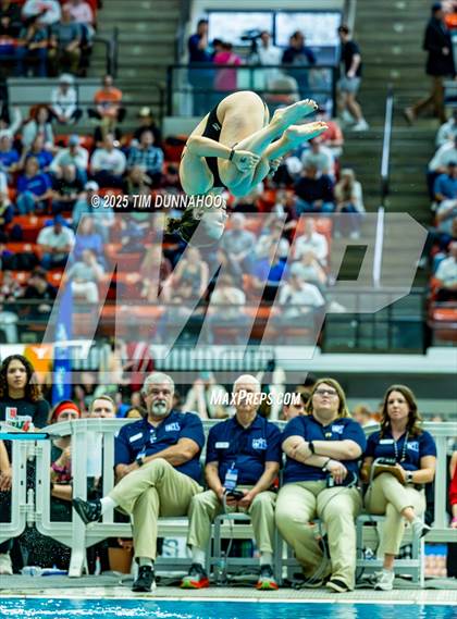 Thumbnail 3 in UIL 6A Swimming & Diving Finals (Diving) photogallery.