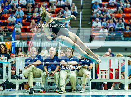 Thumbnail 1 in UIL 6A Swimming & Diving Finals (Diving) photogallery.