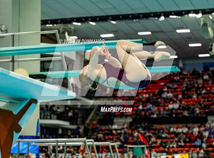 Thumbnail 1 in UIL 6A Swimming & Diving Finals (Diving) photogallery.
