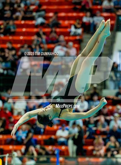 Thumbnail 1 in UIL 6A Swimming & Diving Finals (Diving) photogallery.