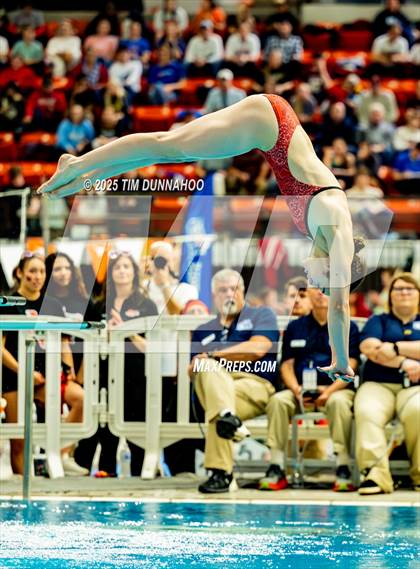 Thumbnail 3 in UIL 6A Swimming & Diving Finals (Diving) photogallery.