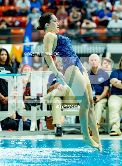 Thumbnail 3 in UIL 6A Swimming & Diving Finals (Diving) photogallery.