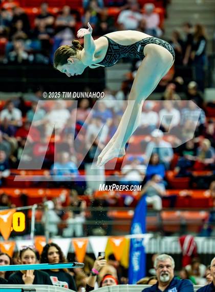 Thumbnail 3 in UIL 6A Swimming & Diving Finals (Diving) photogallery.