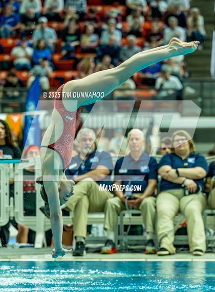 Thumbnail 3 in UIL 6A Swimming & Diving Finals (Diving) photogallery.