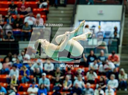 Thumbnail 2 in UIL 6A Swimming & Diving Finals (Diving) photogallery.