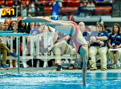 Thumbnail 3 in UIL 6A Swimming & Diving Finals (Diving) photogallery.