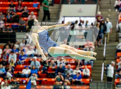 Thumbnail 3 in UIL 6A Swimming & Diving Finals (Diving) photogallery.