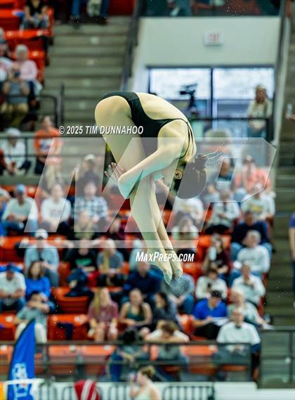 Thumbnail 3 in UIL 6A Swimming & Diving Finals (Diving) photogallery.