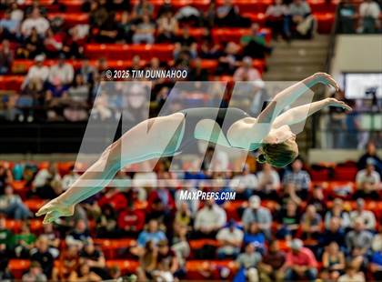 Thumbnail 2 in UIL 6A Swimming & Diving Finals (Diving) photogallery.