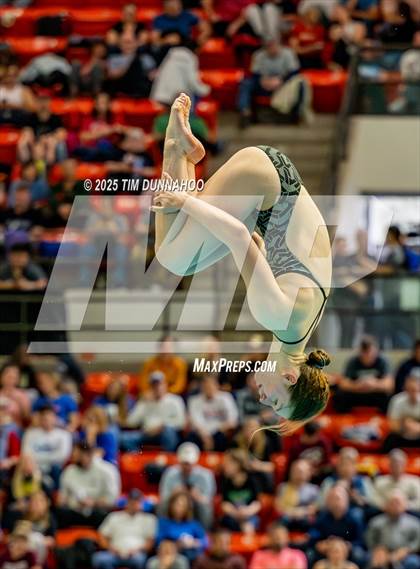 Thumbnail 3 in UIL 6A Swimming & Diving Finals (Diving) photogallery.