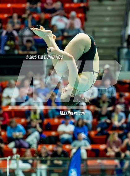 Thumbnail 2 in UIL 6A Swimming & Diving Finals (Diving) photogallery.