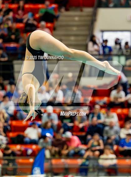 Thumbnail 3 in UIL 6A Swimming & Diving Finals (Diving) photogallery.