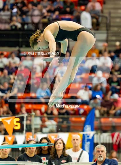Thumbnail 1 in UIL 6A Swimming & Diving Finals (Diving) photogallery.
