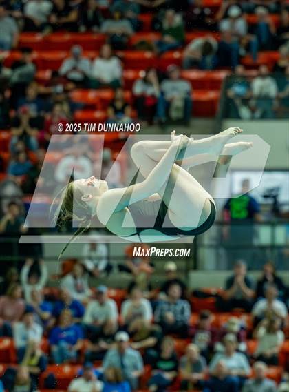 Thumbnail 2 in UIL 6A Swimming & Diving Finals (Diving) photogallery.