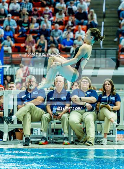 Thumbnail 2 in UIL 6A Swimming & Diving Finals (Diving) photogallery.