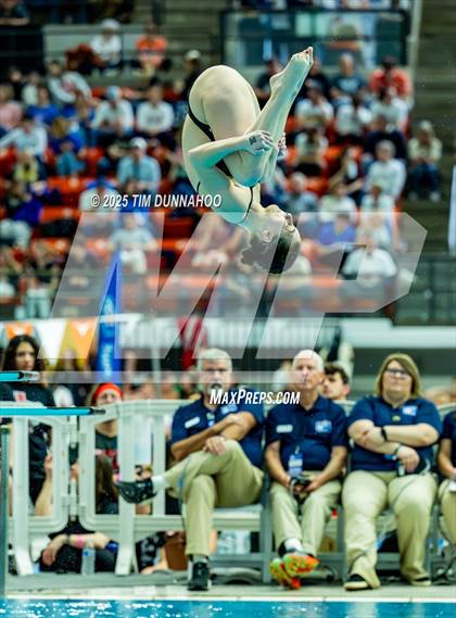 Thumbnail 3 in UIL 6A Swimming & Diving Finals (Diving) photogallery.