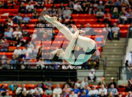 Thumbnail 2 in UIL 6A Swimming & Diving Finals (Diving) photogallery.
