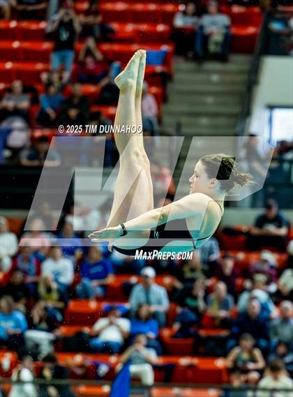 Thumbnail 1 in UIL 6A Swimming & Diving Finals (Diving) photogallery.