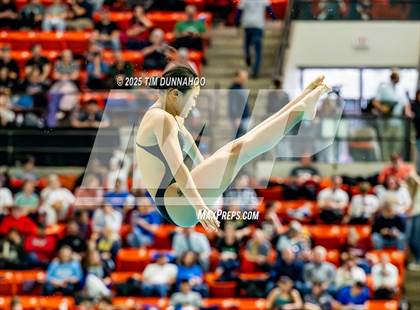 Thumbnail 1 in UIL 6A Swimming & Diving Finals (Diving) photogallery.
