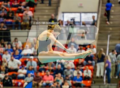 Thumbnail 1 in UIL 6A Swimming & Diving Finals (Diving) photogallery.