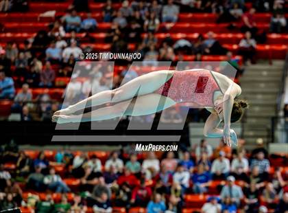 Thumbnail 3 in UIL 6A Swimming & Diving Finals (Diving) photogallery.