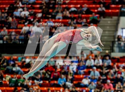 Thumbnail 2 in UIL 6A Swimming & Diving Finals (Diving) photogallery.