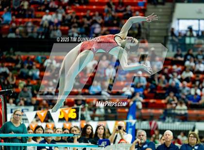Thumbnail 3 in UIL 6A Swimming & Diving Finals (Diving) photogallery.