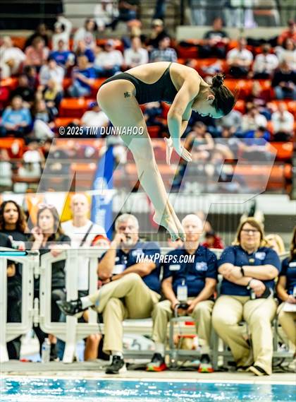 Thumbnail 3 in UIL 6A Swimming & Diving Finals (Diving) photogallery.