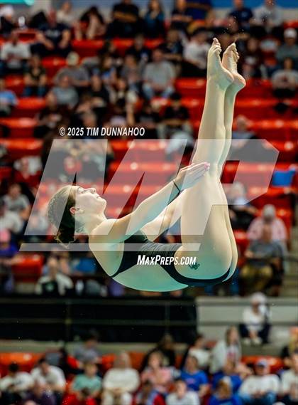 Thumbnail 1 in UIL 6A Swimming & Diving Finals (Diving) photogallery.