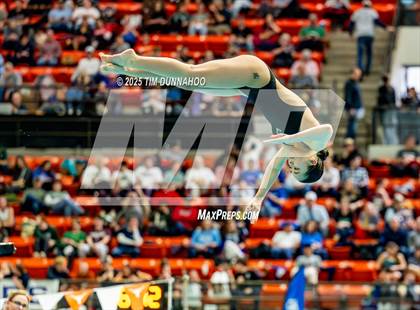 Thumbnail 3 in UIL 6A Swimming & Diving Finals (Diving) photogallery.