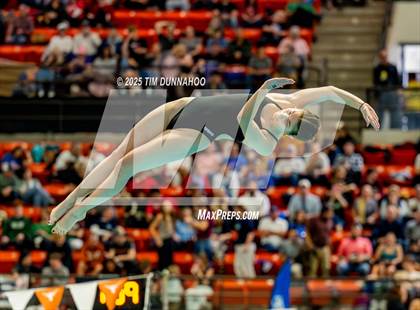 Thumbnail 3 in UIL 6A Swimming & Diving Finals (Diving) photogallery.