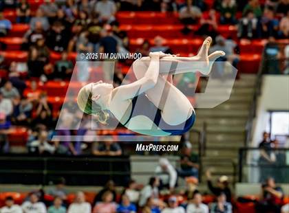Thumbnail 3 in UIL 6A Swimming & Diving Finals (Diving) photogallery.