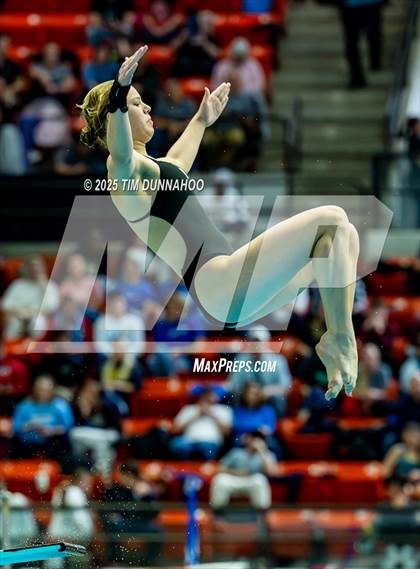 Thumbnail 1 in UIL 6A Swimming & Diving Finals (Diving) photogallery.