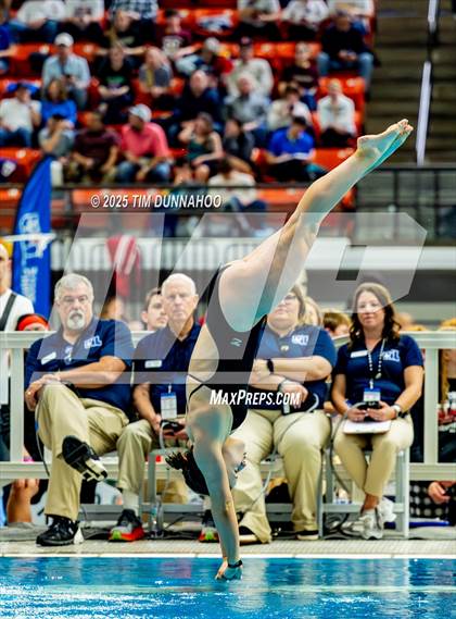 Thumbnail 3 in UIL 6A Swimming & Diving Finals (Diving) photogallery.