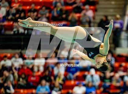 Thumbnail 2 in UIL 6A Swimming & Diving Finals (Diving) photogallery.