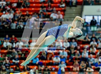 Thumbnail 3 in UIL 6A Swimming & Diving Finals (Diving) photogallery.