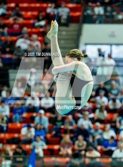 Thumbnail 2 in UIL 6A Swimming & Diving Finals (Diving) photogallery.