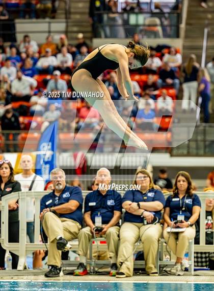 Thumbnail 2 in UIL 6A Swimming & Diving Finals (Diving) photogallery.
