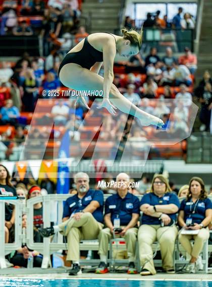 Thumbnail 2 in UIL 6A Swimming & Diving Finals (Diving) photogallery.