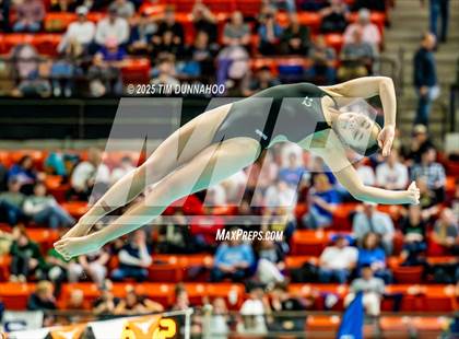 Thumbnail 2 in UIL 6A Swimming & Diving Finals (Diving) photogallery.