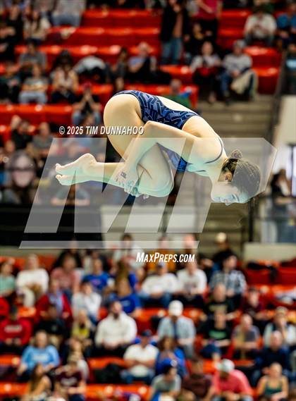 Thumbnail 1 in UIL 6A Swimming & Diving Finals (Diving) photogallery.