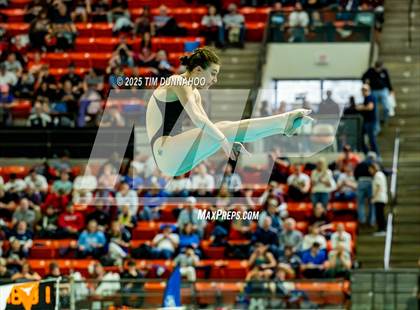 Thumbnail 2 in UIL 6A Swimming & Diving Finals (Diving) photogallery.