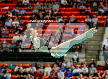 Thumbnail 3 in UIL 6A Swimming & Diving Finals (Diving) photogallery.