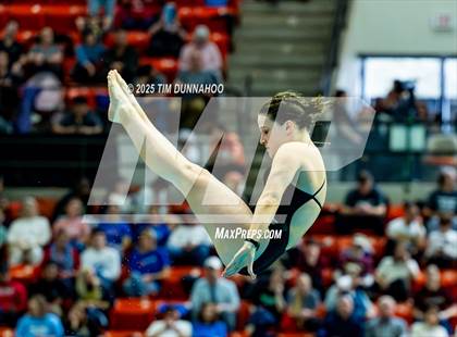 Thumbnail 2 in UIL 6A Swimming & Diving Finals (Diving) photogallery.