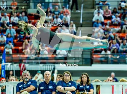 Thumbnail 3 in UIL 6A Swimming & Diving Finals (Diving) photogallery.